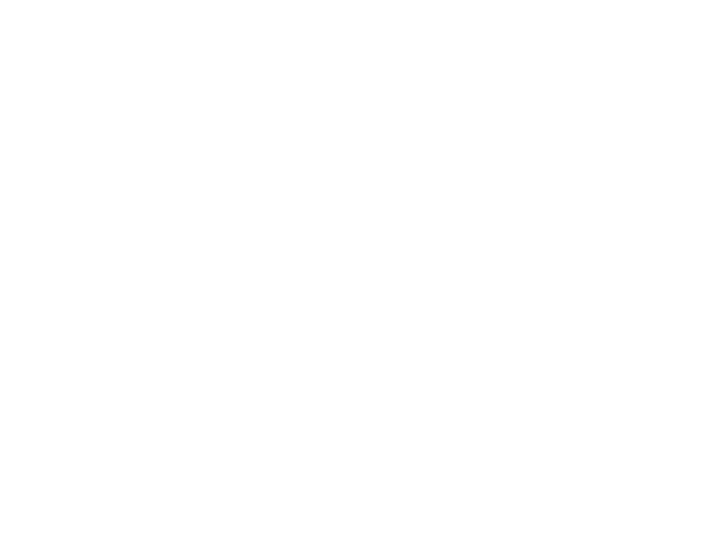 YMCA White Logo