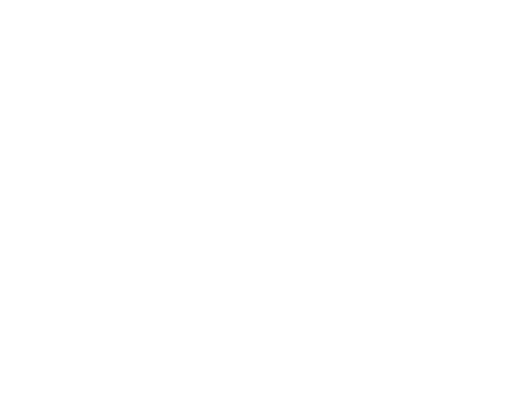 YMCA White Logo