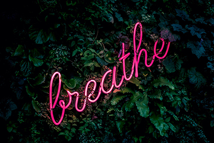 The word "breathe" stylistically written in pink cursive on a leafy backdrop.