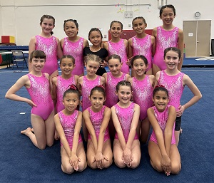 girls gymnastics team