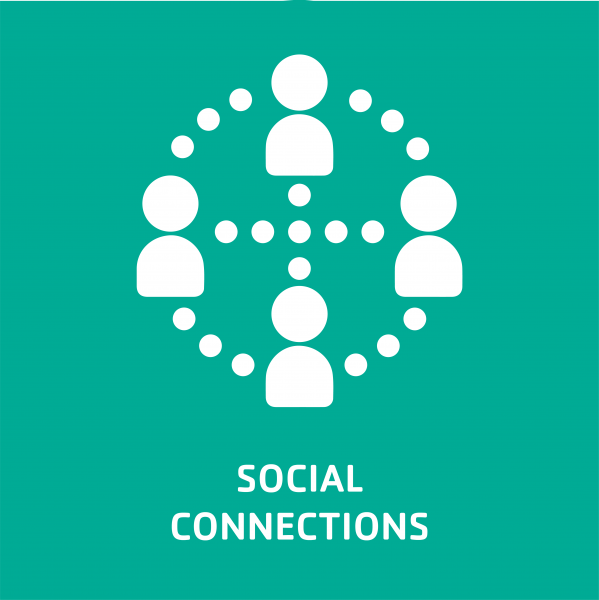 social connections