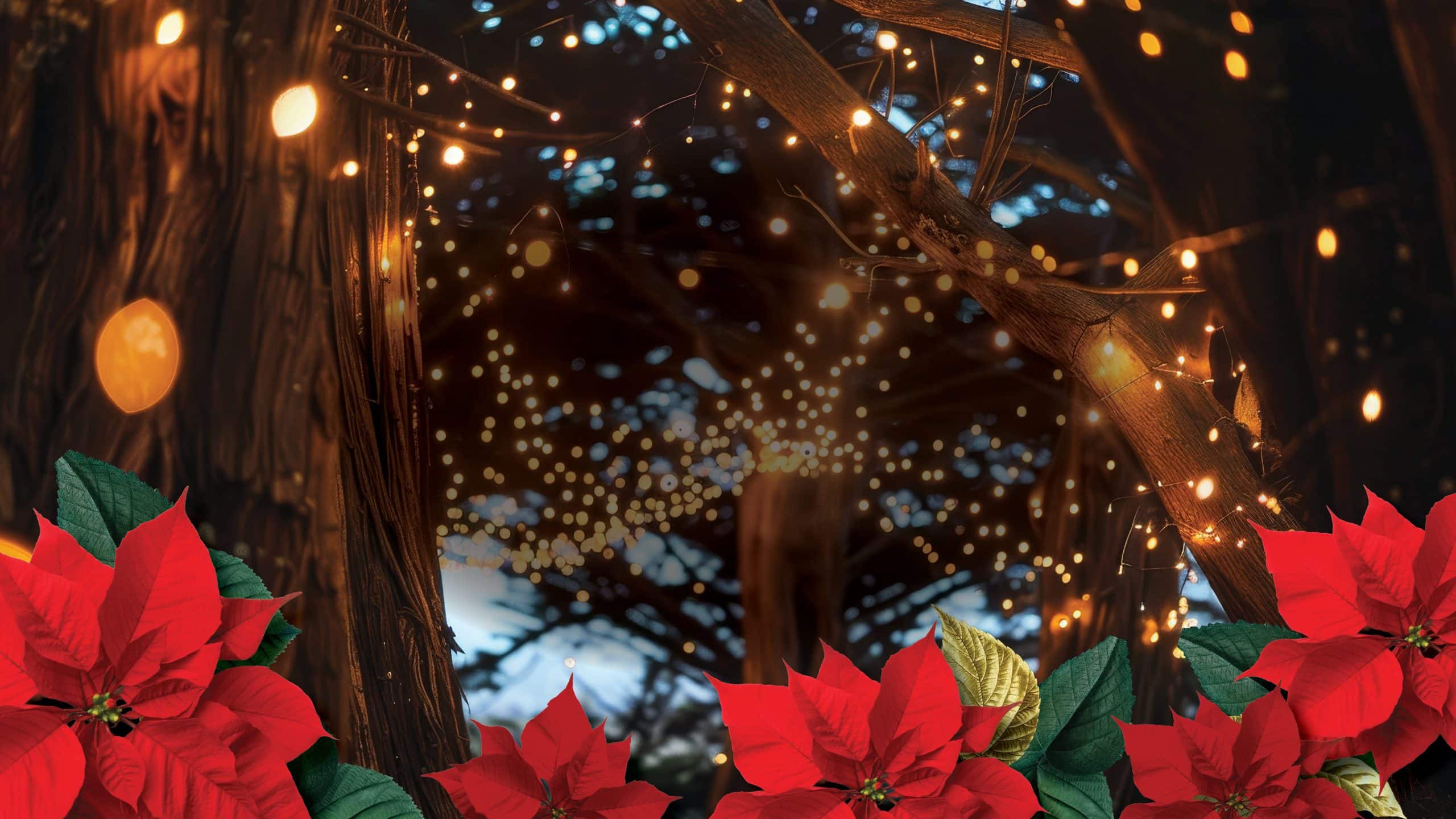 34th Annual Paul Ecke, Jr. Poinsettia Ball