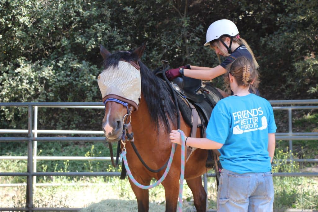 Campers caring for horses